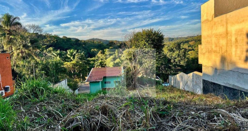 Terreno à venda, 478 m² por R$ 350.000,00 - Joaquim Egídio - Campinas/SP