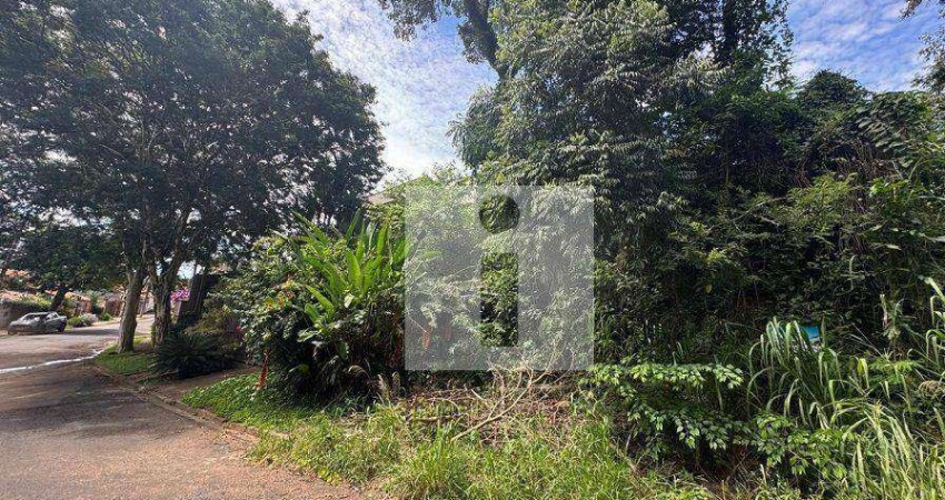 Terreno à venda, 397 m² por R$ 427.000,00 - Jardim Sorirama (Sousas) - Campinas/SP
