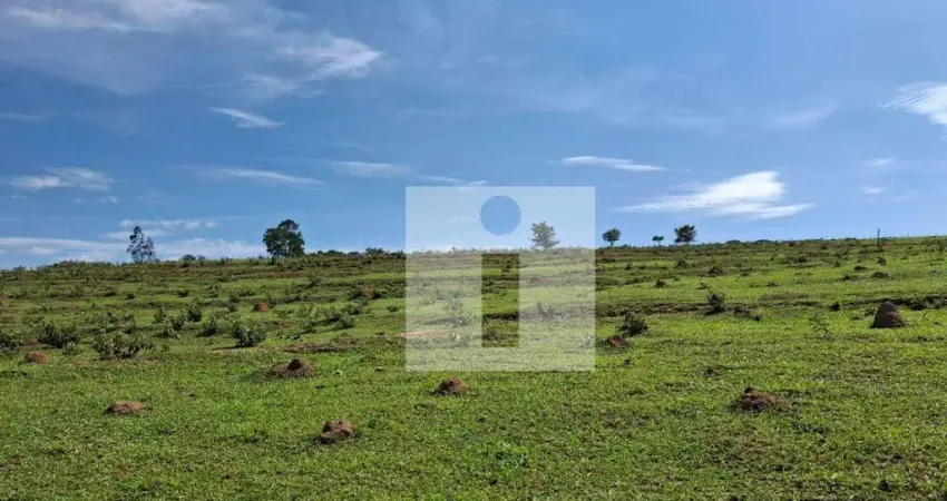 chácara à venda, 20.000 m² por R$ 503.000 - Loteamento Chácaras Gargantilhas - Campinas/SP