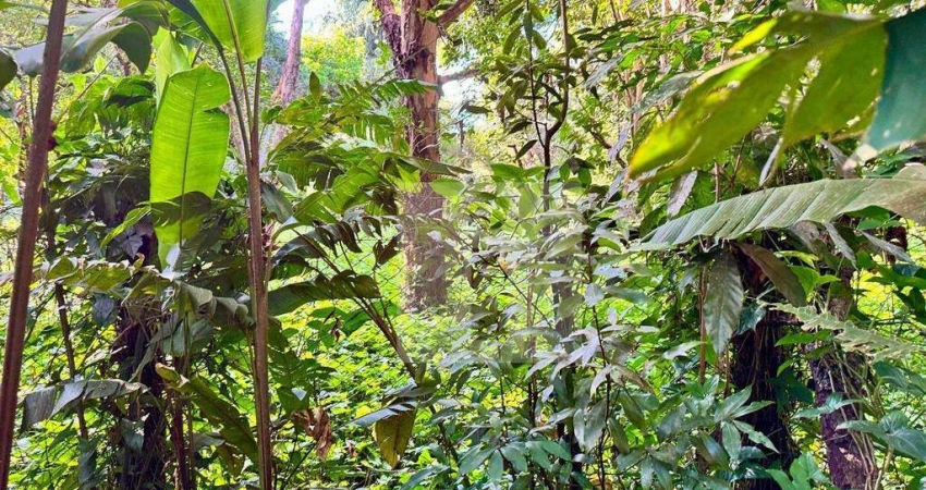 Terreno à venda, 564 m² por R$ 564.000,00 - Parque Jatibaia (Sousas) - Campinas/SP