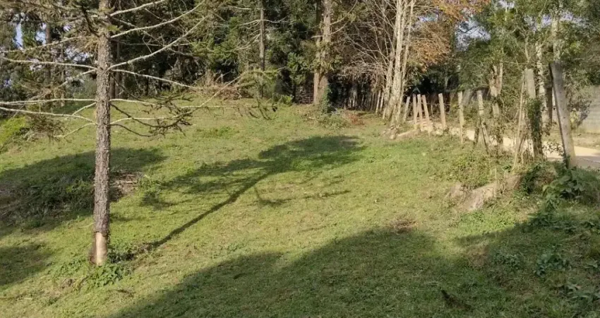Chácara 3 km da estrada da Ribeira, com 31 mil metros quadrados