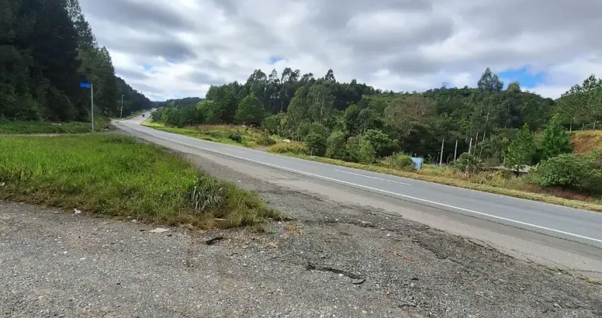 Chácara / sítio com 4 quartos à venda na Rua Coronel Monteiro, 00, Zona Rural, Campina Grande do Sul