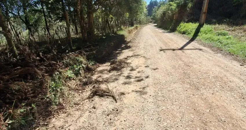 Chácara / sítio à venda na Rua Maximiniano Betinardi, 00, Roseira, Colombo