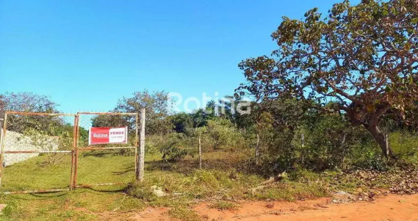 Terreno à venda, panorama - uberlândia/mg - rotina imobiliária