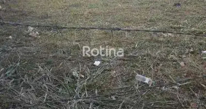 Terreno à venda, segismundo pereira - uberlândia/mg - rotina imobiliária