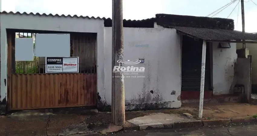 Terreno à venda, osvaldo rezende - uberlândia/mg - rotina imobiliária