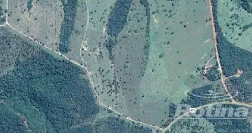 Sítio à venda, zona rural - caldas novas/go - rotina imobiliária