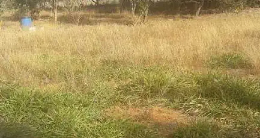 Terreno à venda, morada nova - uberlândia/mg - rotina imobiliária