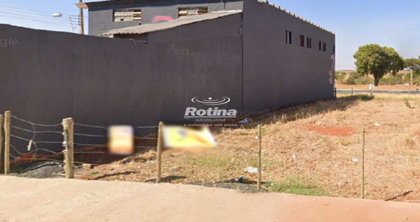 Terreno à venda, Segismundo Pereira - Uberlândia/MG - Rotina Imobiliária