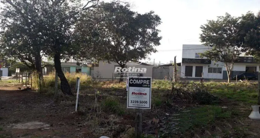 Terreno à venda, tibery - uberlândia/mg - rotina imobiliária