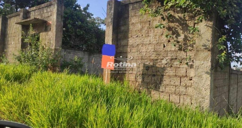 Terreno à venda, Jardim Karaíba - Uberlândia/MG - Rotina Imobiliária