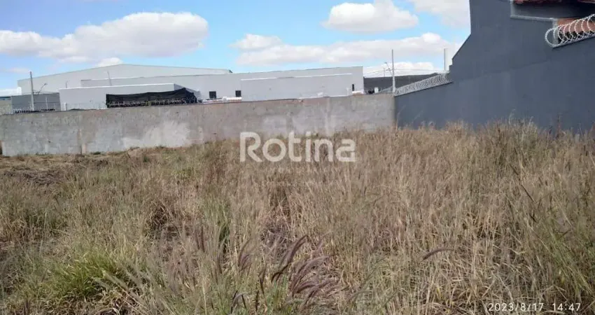 Terreno à venda na Rua Oswaldo França Junior, --, Novo Mundo, Uberlândia
