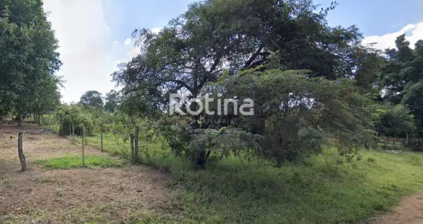 Terreno à venda, morada nova - uberlândia/mg - rotina imobiliária