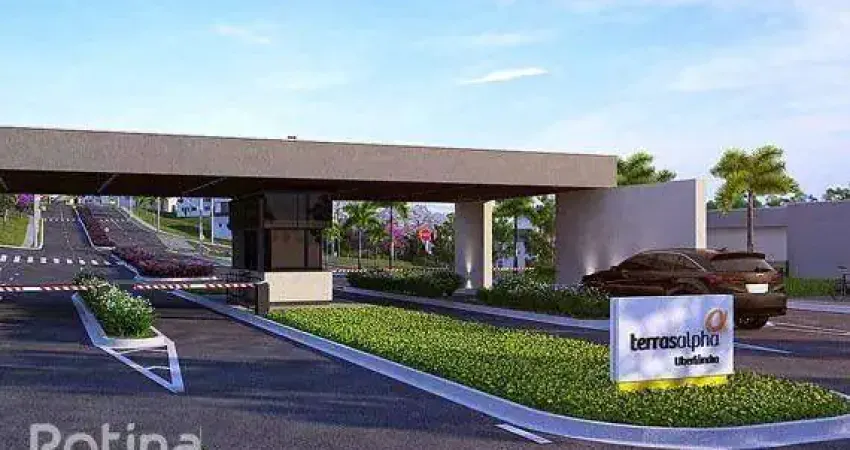Terreno condomínio fechado à venda, cond. terras alpha - uberlândia/mg - rotina imobiliária