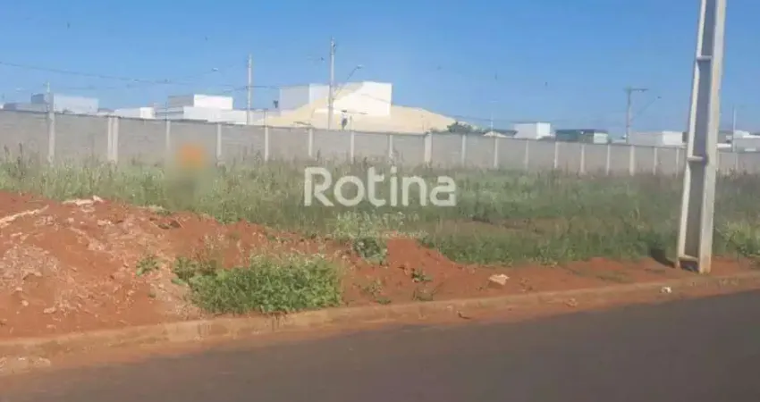 Terreno à venda, novo mundo - uberlândia/mg - rotina imobiliária