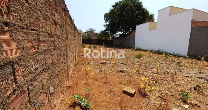 Terreno à venda na Rua Euclides da Cunha, --, Custódio Pereira, Uberlândia