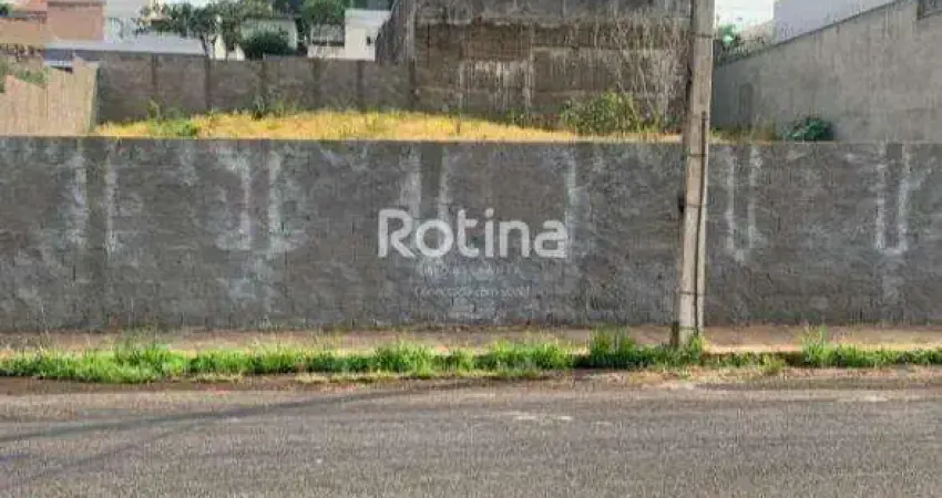 Terreno à venda, vigilato pereira - uberlândia/mg - rotina imobiliária