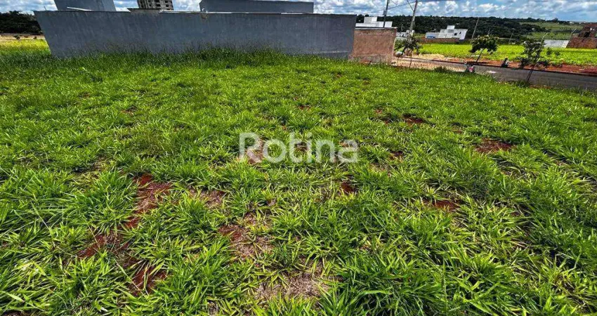 Terreno à venda, loteamento portal do vale ii - uberlândia/mg - rotina imobiliária