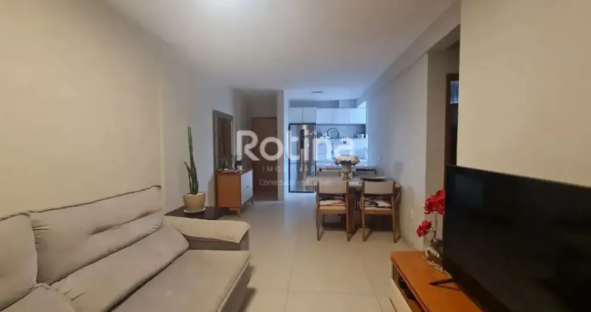 Apartamento à venda, 2 quartos, luizote de freitas - uberlândia/mg - rotina imobiliária