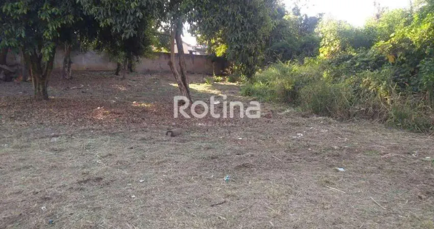 Terreno à venda, luizote de freitas - uberlândia/mg - rotina imobiliária