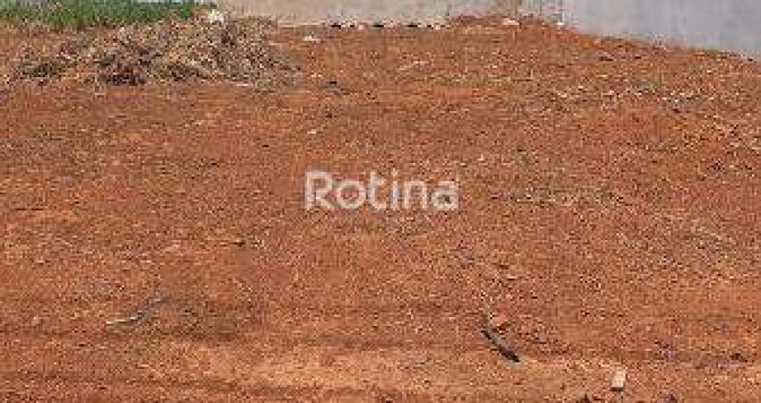 Terreno à venda, Novo Mundo - Uberlândia/MG - Rotina Imobiliária