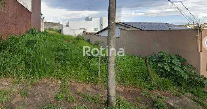 Terreno à venda na Rua Jandyro Vilela de Freitas, --, Vigilato Pereira, Uberlândia