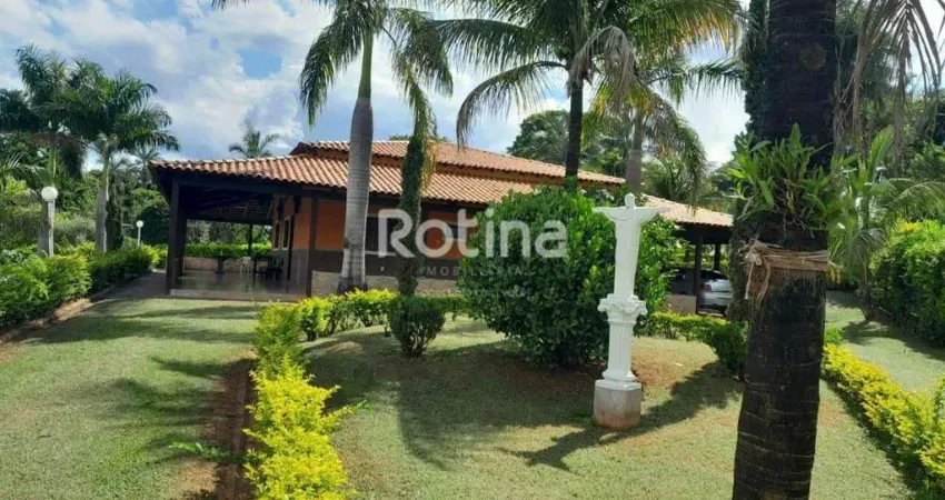 Chacara à venda, 4 quartos, Chacaras Eldorado - Uberlândia/MG - Rotina Imobiliária