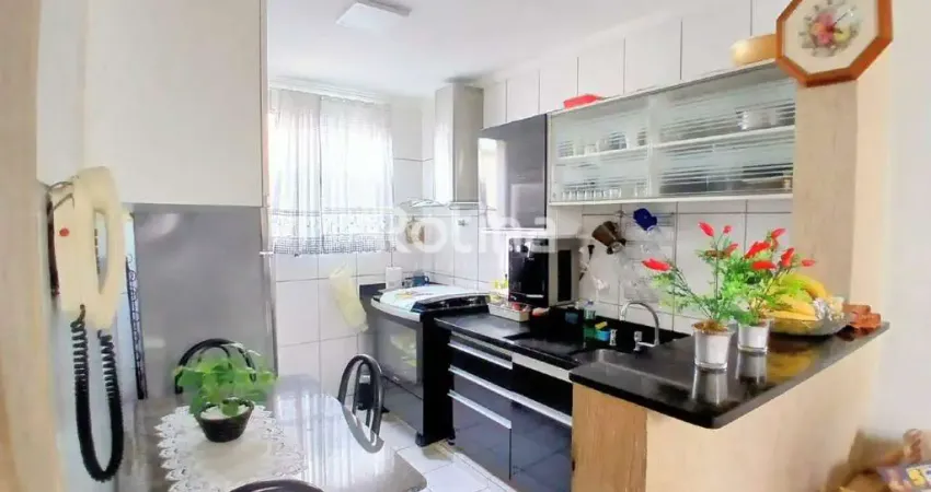 Cobertura à venda, 3 quartos, Martins - Uberlândia/MG - Rotina Imobiliária