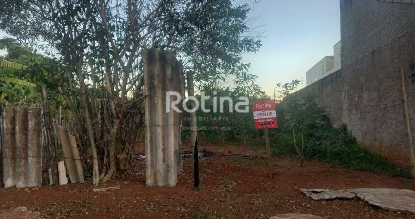 Terreno à venda, Santa Luzia - Uberlândia/MG - Rotina Imobiliária