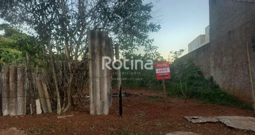 Terreno à venda, santa luzia - uberlândia/mg - rotina imobiliária