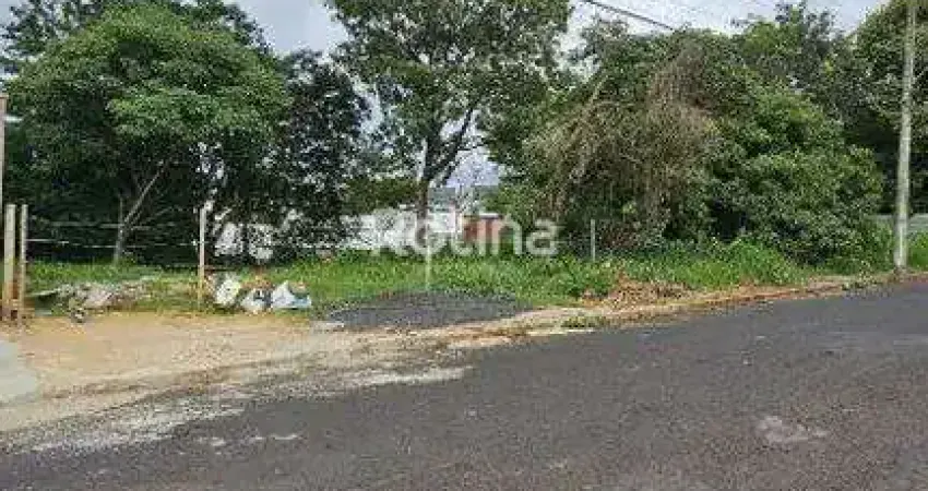 Terreno à venda, Cidade Jardim - Uberlândia/MG - Rotina Imobiliária