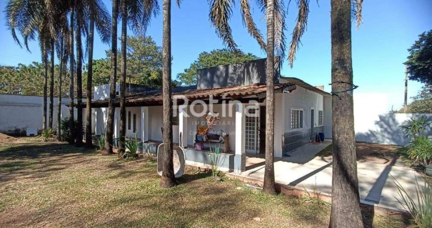 Chacara à venda, 3 quartos, Morada Nova - Uberlândia/MG - Rotina Imobiliária
