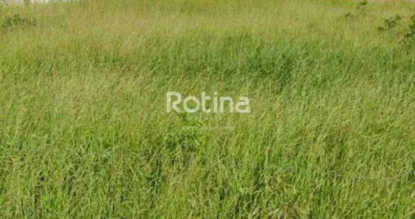 Terreno à venda, jardim sul - uberlândia/mg - rotina imobiliária