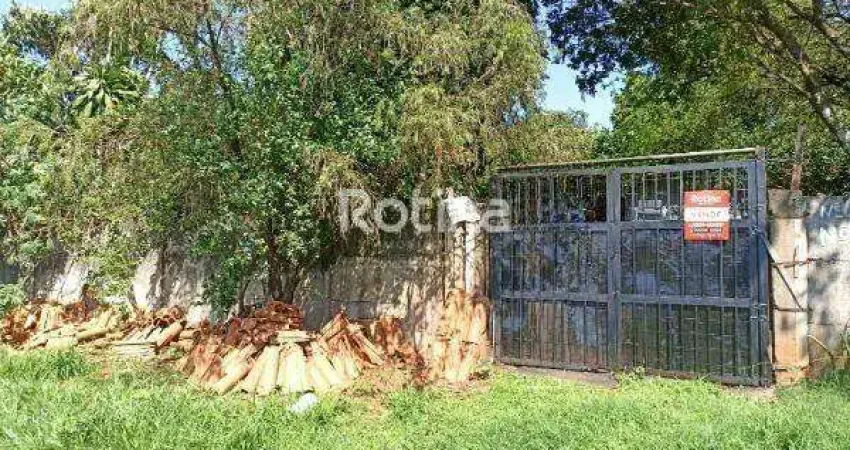 Chacara à venda, 2 quartos, morada dos pássaros - uberlândia/mg - rotina imobiliária