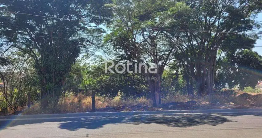 Área à venda, chacaras tubalina e quartel - uberlândia/mg - rotina imobiliária