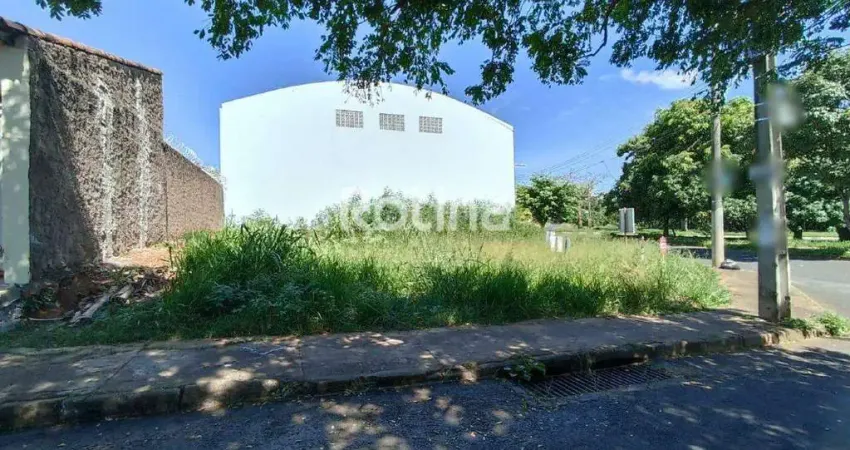 Terreno à venda, mansour - uberlândia/mg - rotina imobiliária