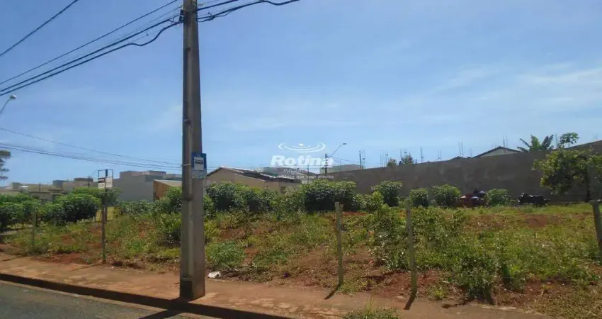 Terreno à venda, bosque dos buritis - uberlândia/mg - rotina imobiliária