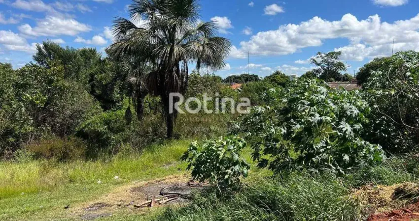 Terreno à venda, nossa senhora das graças - uberlândia/mg - rotina imobiliária