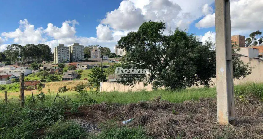 Terreno à venda, jardim inconfidência - uberlândia/mg - rotina imobiliária