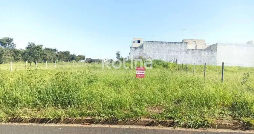 Terreno à venda, shopping park - uberlândia/mg - rotina imobiliária