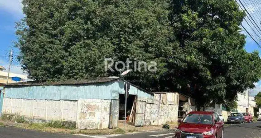 Terreno à venda, martins - uberlândia/mg - rotina imobiliária