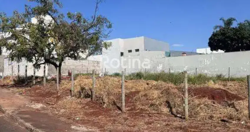 Terreno à venda, jardim colina - uberlândia/mg - rotina imobiliária