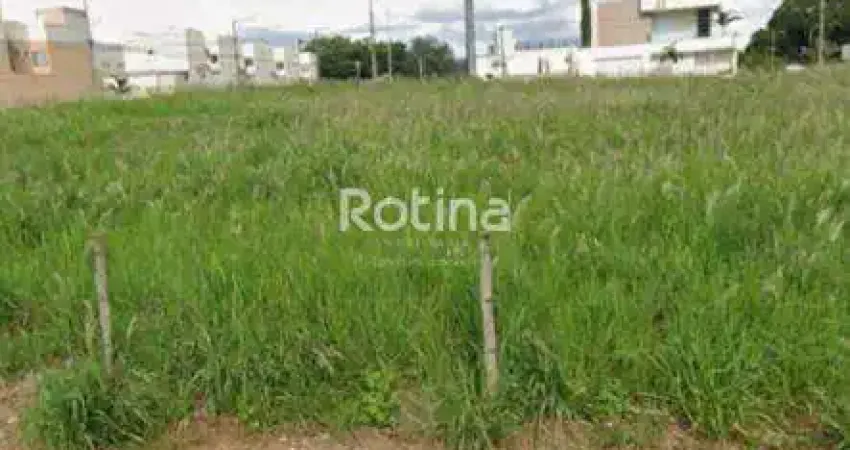 Terreno à venda, vigilato pereira - uberlândia/mg - rotina imobiliária