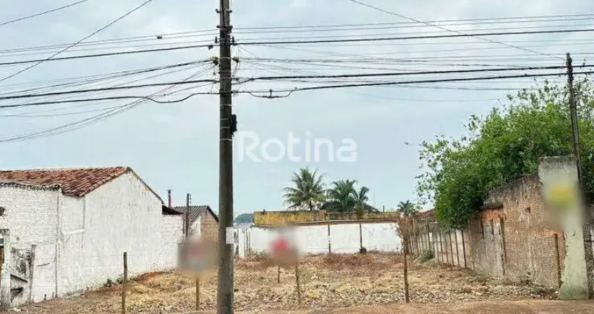Terreno à venda, presidente roosevelt - uberlândia/mg - rotina imobiliária