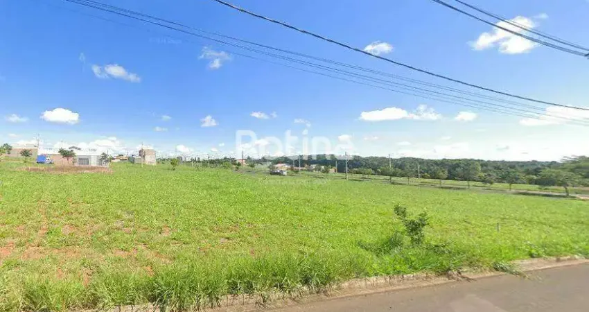Terreno comercial à venda na Avenida João Costa Azevedo, --, Loteamento Portal do Vale II, Uberlândia