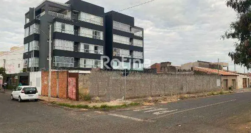 Terreno à venda, segismundo pereira - uberlândia/mg - rotina imobiliária