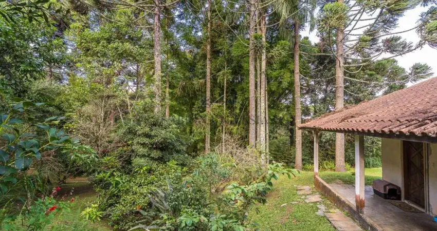 Chácara / sítio com 3 quartos à venda na Rua Ulda Pereira da Silva, 400, Parque das Nascentes, Pinhais