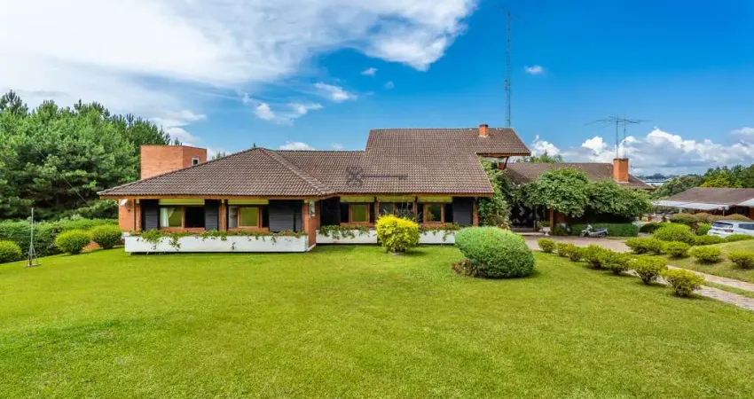 Chácara / sítio com 5 quartos à venda na Rua Francisco Munõz Madrid, 350, Roseira de São Sebastião, São José dos Pinhais