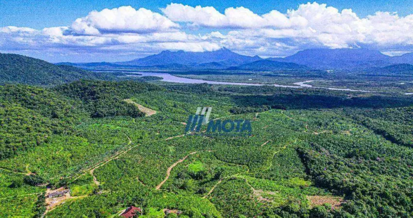 Fazenda Ideal para Resort, hotel Fazenda, Turismo e demais empreendimentos, Com 349,1 hectaresAtualmente formada com plantação de bananas e palmitos