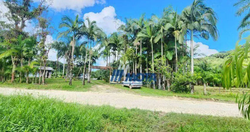 Sitio a venda Antonina com 47 hectares com casa sede, casa caseiro, tanques e plantação de palmitos